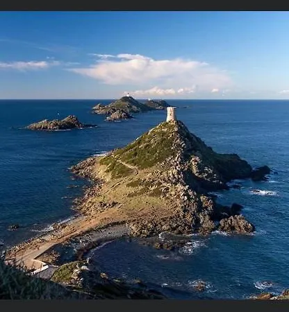 Vielle - 4 Personnes Apartment Ajaccio (Corsica)